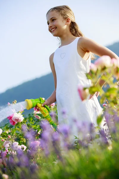 Bewässerung, Blumengarten - schönes Mädchen, das Rosen gießt — Stockfoto