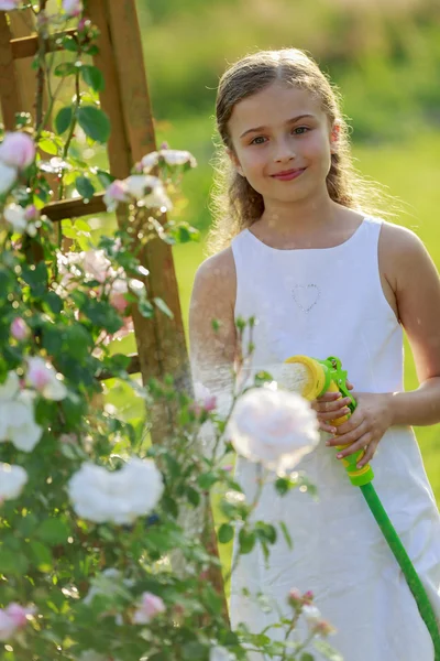 Giardino estivo, annaffiamento - bella ragazza annaffiamento rose — Foto Stock