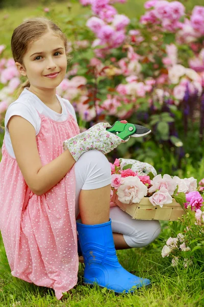 Rosenträdgården - vacker flicka skära rosor i trädgården — Stockfoto