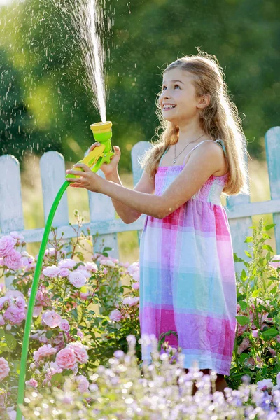 Летний сад, полив - красивая девушка поливает розы — стоковое фото