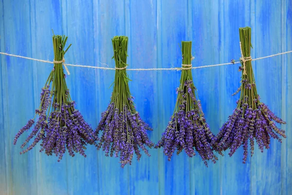 Hierbas de lavanda secándose en el granero de madera en el jardín —  Fotos de Stock