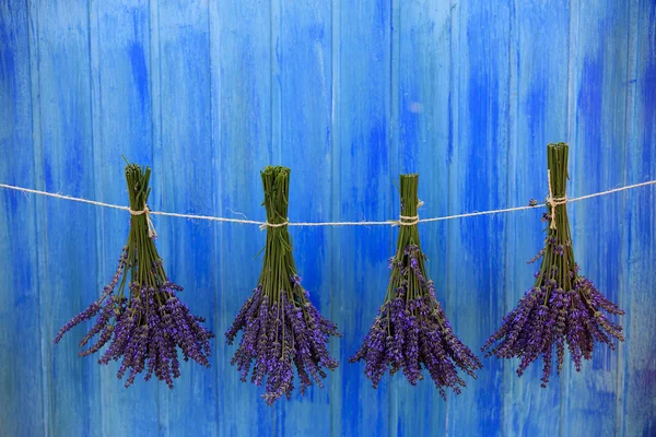 Ervas de lavanda secando no celeiro de madeira no jardim — Fotografia de Stock