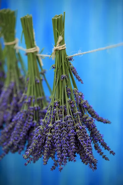 Herbes à la lavande séchant sur la grange en bois dans le jardin — Photo