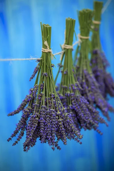 Hierbas de lavanda secándose en el granero de madera en el jardín —  Fotos de Stock