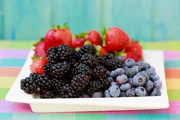Frutas - bagas frescas do jardim — Fotografia de Stock