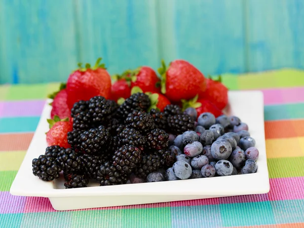 과일-정원에서 신선한 딸기 — 스톡 사진
