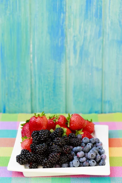 Frutas - bagas frescas do jardim — Fotografia de Stock