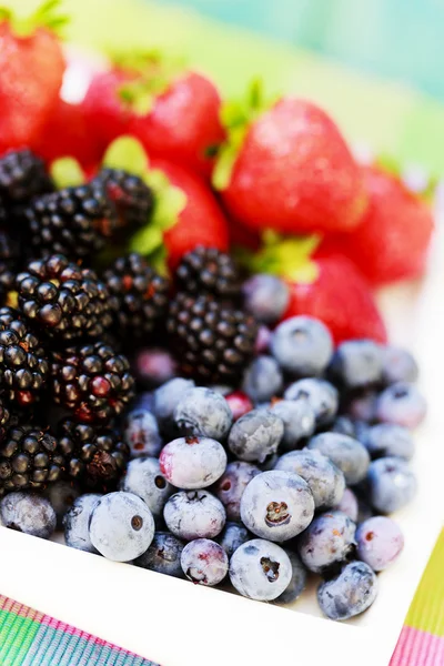Frutas - bagas frescas do jardim — Fotografia de Stock