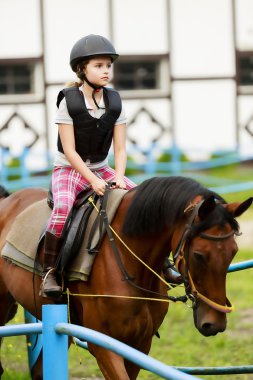 binme, portre sevimli binicilik ata