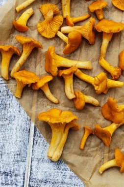 Cantharellus cibarius - taze Cantharellus cibarius mantar