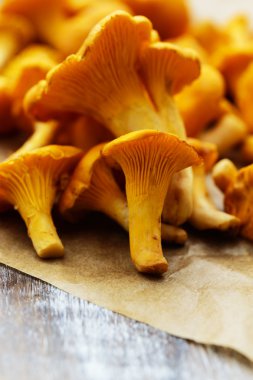 Cantharellus cibarius - bir masaya taze Cantharellus cibarius mantar