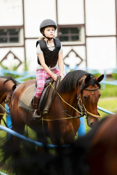Reiten, Portrait einer schönen Reiterin auf einem Pferd — Stockfoto