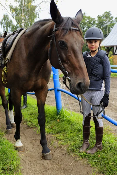 Horse and lovely equestrian girl — Stock Photo, Image