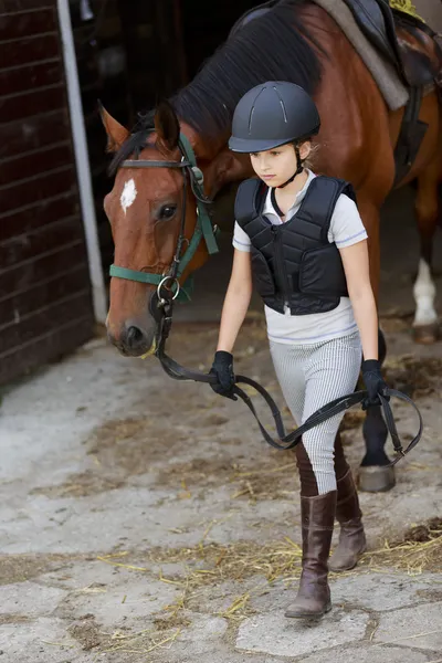 Caballo y chica ecuestre encantadora — Foto de Stock