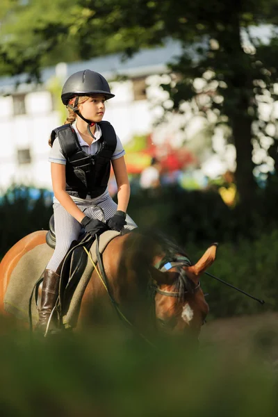 乗馬、馬に素敵な馬術の肖像画 — ストック写真