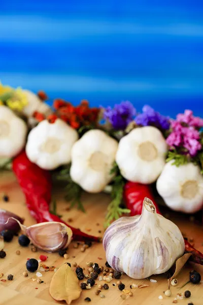 Garlic and spices — Stock Photo, Image