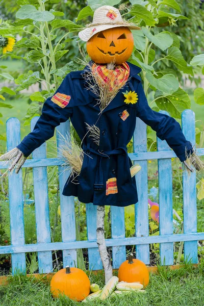 Scarecrow in the garden — Stock Photo, Image