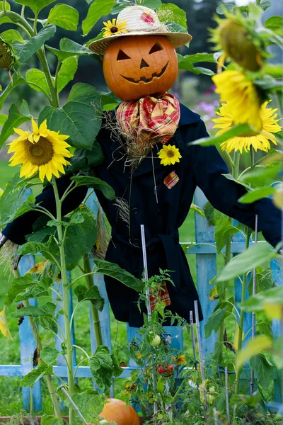 Scarecrow in the garden — Stock Photo, Image