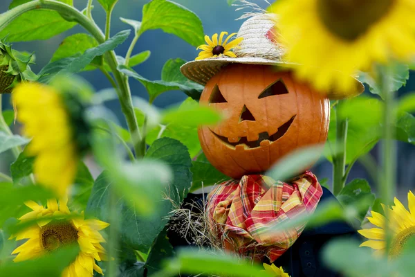 Scarecrow in the garden - Autumn harvests — Stock Photo, Image