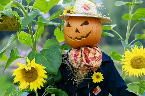 Scarecrow in the garden — Stock Photo, Image