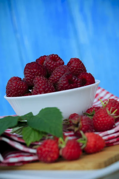 Himbeere, Früchte - frische Himbeeren aus dem Garten — Stockfoto