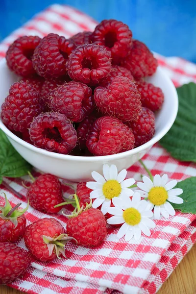 Frambuesas, frutas - frambuesas frescas del jardín —  Fotos de Stock