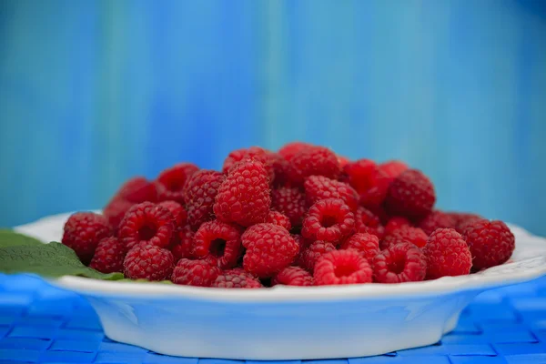 Frambuesas, frutas - frambuesas frescas del jardín —  Fotos de Stock