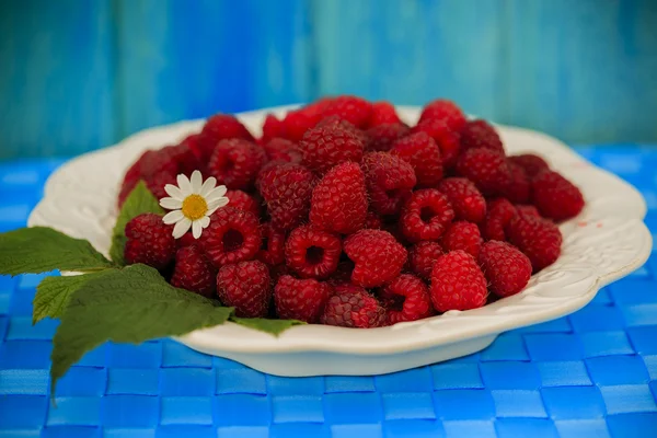 覆盆子，水果-从花园里的新鲜树莓 — 图库照片