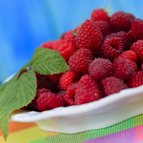 Frambuesas, frutas - frambuesas frescas del jardín —  Fotos de Stock