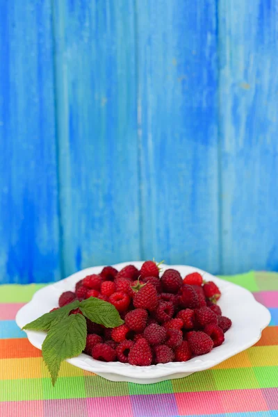 覆盆子，水果-从花园里的新鲜树莓 — 图库照片