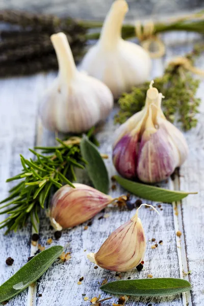 Knoblauch, Kräuter und Gewürze — Stockfoto