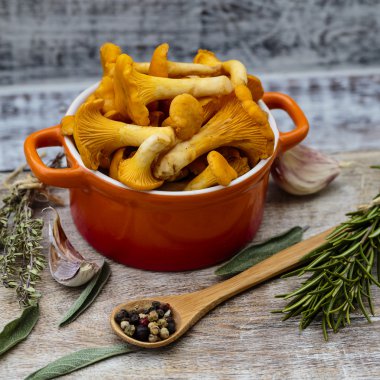 Cantharellus cibarius - bir masaya taze Cantharellus cibarius mantar