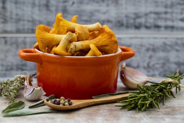 Cantharellus cibarius - bir masaya taze Cantharellus cibarius mantar