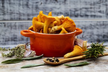 Cantharellus cibarius - bir masaya taze Cantharellus cibarius mantar