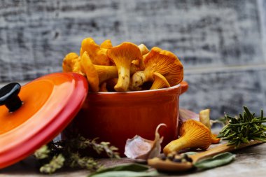 Cantharellus cibarius - bir masaya taze Cantharellus cibarius mantar