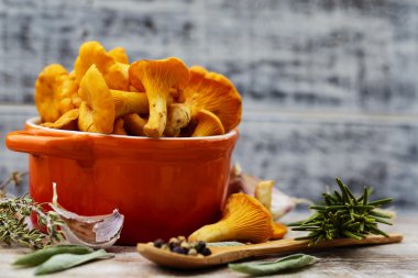 Cantharellus cibarius - bir masaya taze Cantharellus cibarius mantar