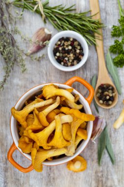 Cantharellus cibarius - bir masaya taze Cantharellus cibarius mantar