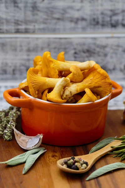 Chanterelle - Fresh chanterelle mushrooms on a table — Stock Photo, Image