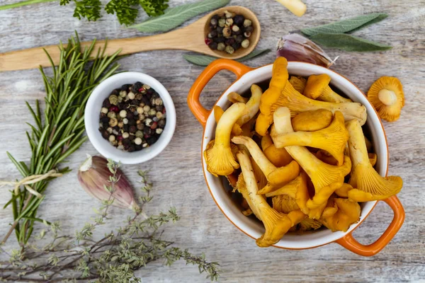 Chanterelle - Fresh chanterelle mushrooms on a table — Stock Photo, Image