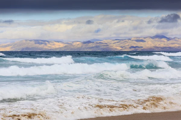 카나리아, 카나리아 제도, 스페인의 해변 — 스톡 사진