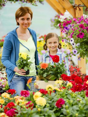 Dikim, Bahçe çiçekleri - aile alışveriş bitki ve çiçek Bahçe Merkezi