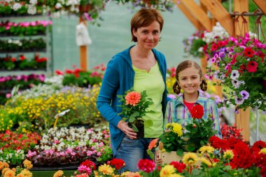 Dikim, Bahçe çiçekleri - aile alışveriş bitki ve çiçek Bahçe Merkezi