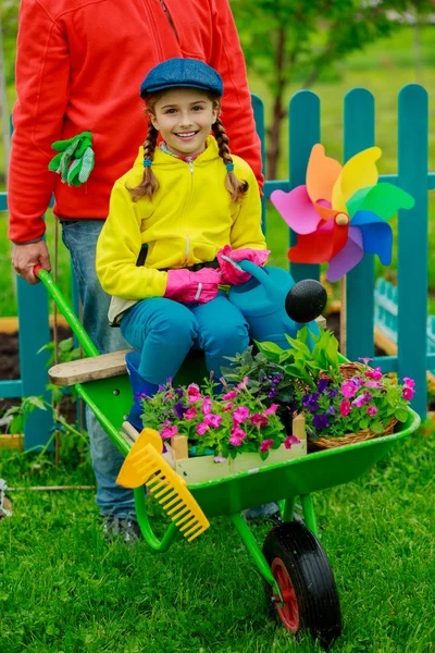 Gardening, planting - girl in barrow helping father — Stock Photo, Image