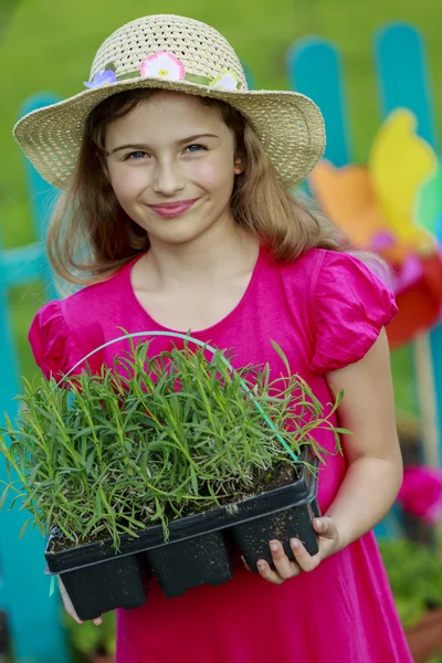 Giardinaggio, piantagione - bella ragazza con piantine di lavanda — Foto Stock