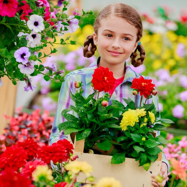 園芸用品センターで少女ショッピング植物および花の庭の花を植える — ストック写真