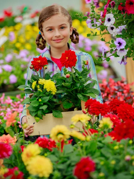 Pflanzen, Gartenblumen - Mädchen kauft Pflanzen und Blumen im Gartencenter ein — Stockfoto