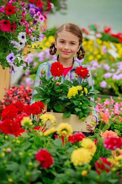 Planting, garden flowers - Lovely girl with flowers — Stock Photo, Image