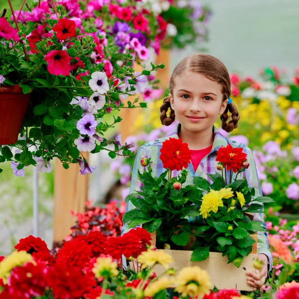 Planten, van tuin bloemen - meisje winkelen planten en bloemen in tuincentrum — Stockfoto