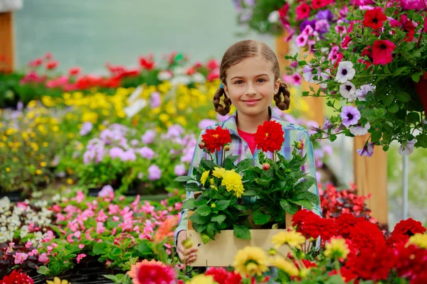 Plantio, flores do jardim - plantas de compras menina e flores no centro do jardim — Fotografia de Stock