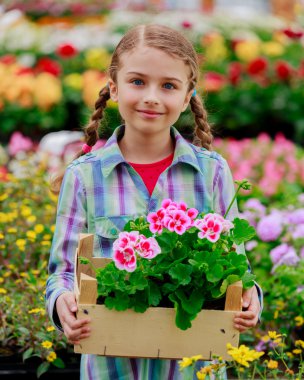 dikim bahçe çiçekleri - kız alışveriş bitki ve çiçek Bahçe Merkezi